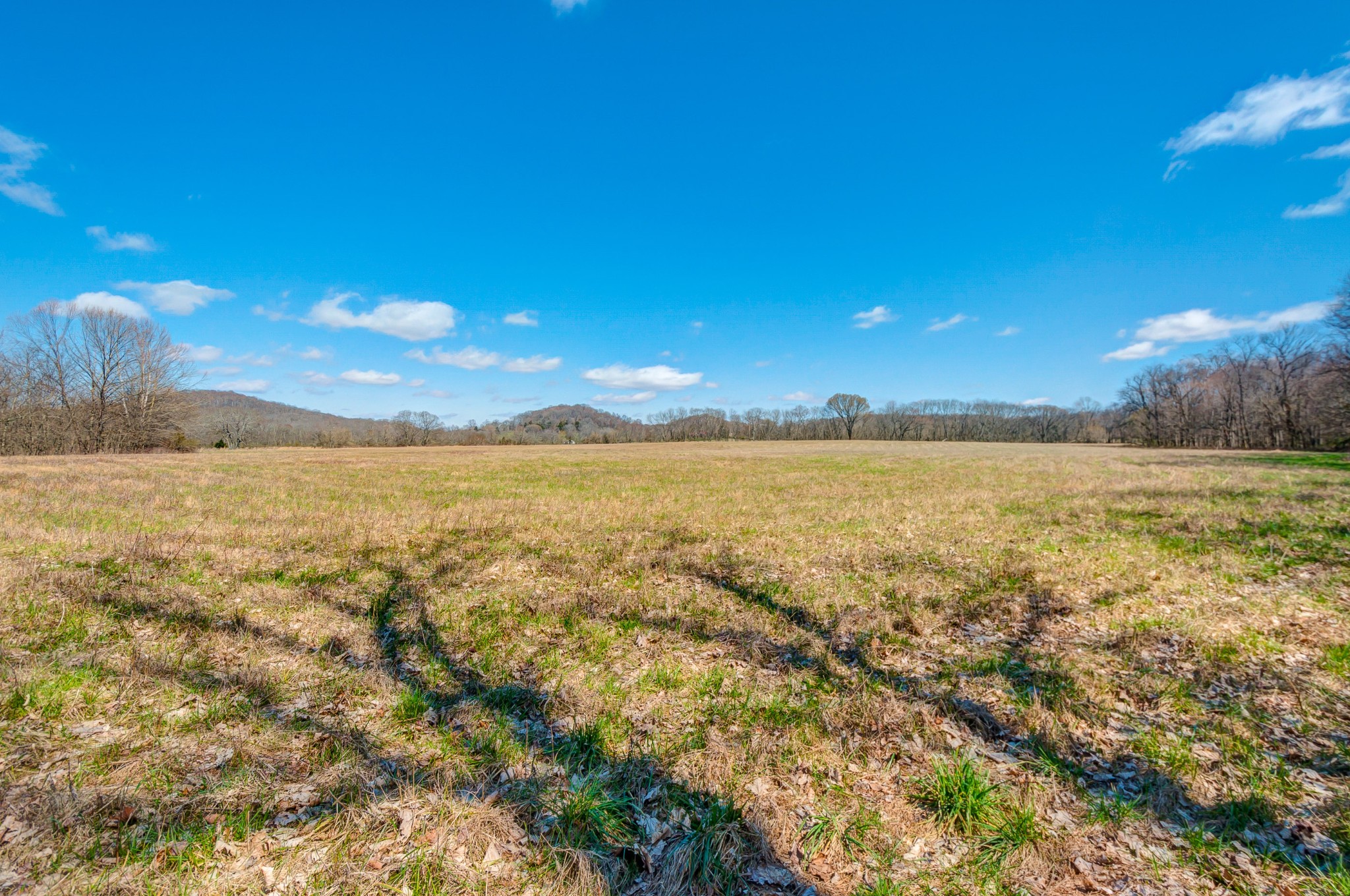 0 West Harpeth Road Franklin, TN 37064 - Photo 8 of 41 Gallery Image 8