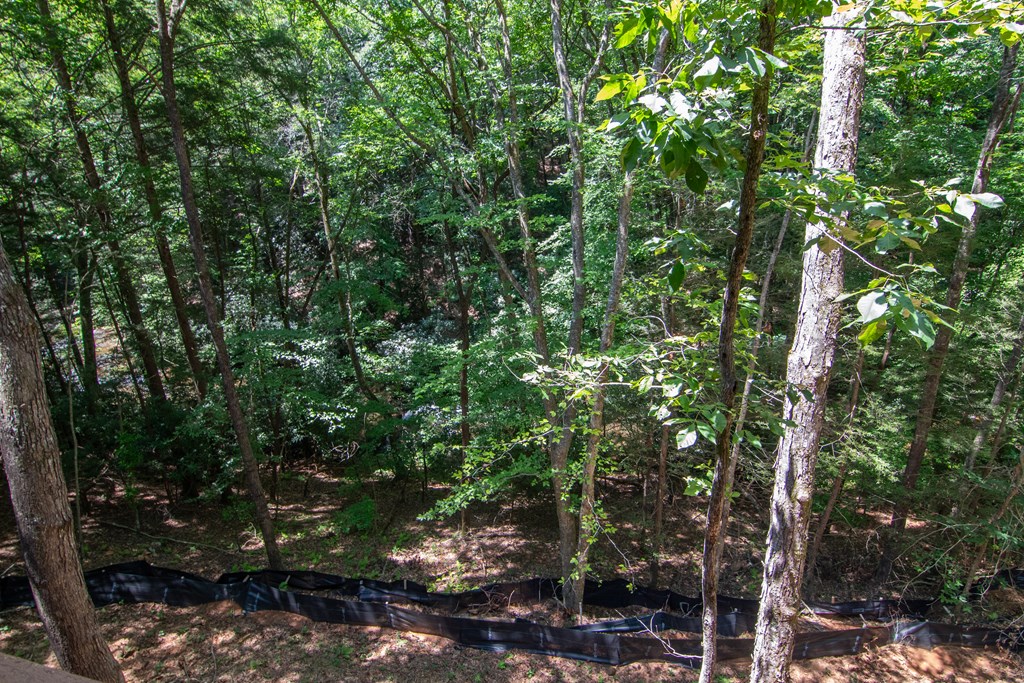 1990 Big Creek Road Cherry Log, GA 30522 - Photo 30 of 48