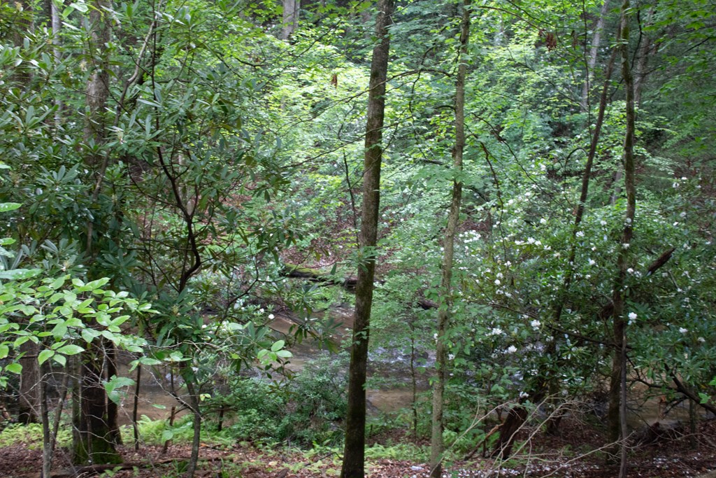 1990 Big Creek Road Cherry Log, GA 30522 - Photo 34 of 48