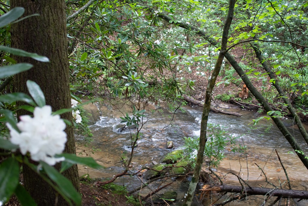 1990 Big Creek Road Cherry Log, GA 30522 - Photo 35 of 48