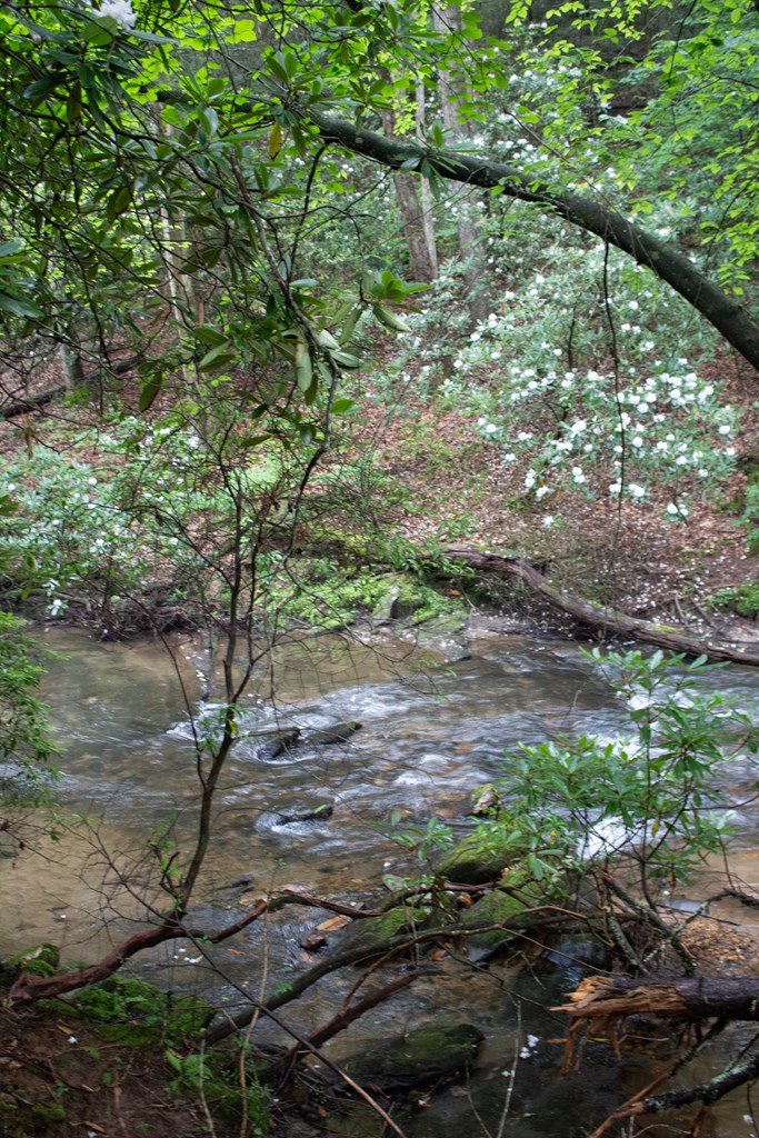 1990 Big Creek Road Cherry Log, GA 30522 - Photo 36 of 48