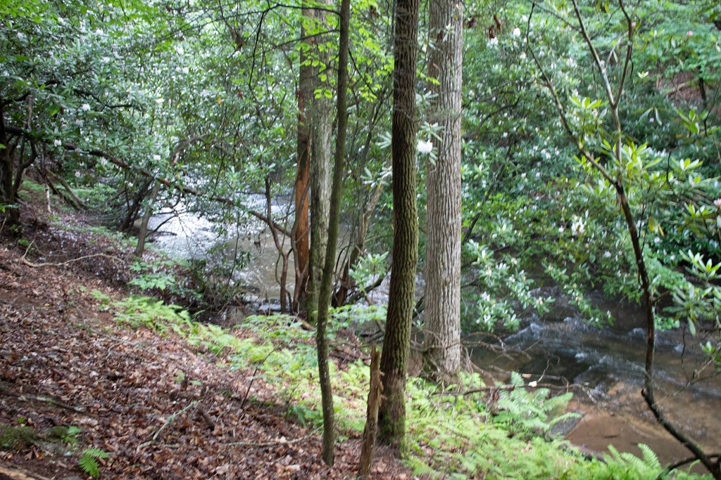 1990 Big Creek Road Cherry Log, GA 30522 - Photo 37 of 48 a view of forest
