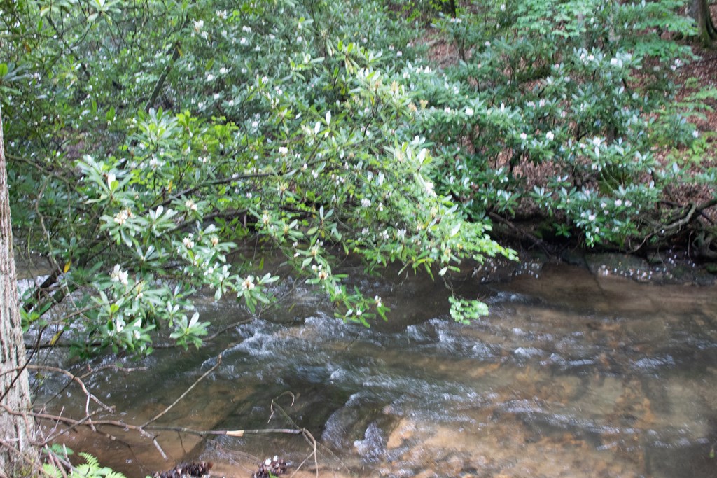 1990 Big Creek Road Cherry Log, GA 30522 - Photo 38 of 48