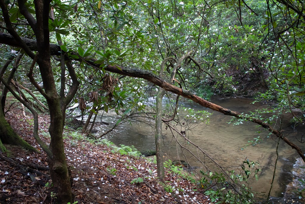 1990 Big Creek Road Cherry Log, GA 30522 - Photo 41 of 48