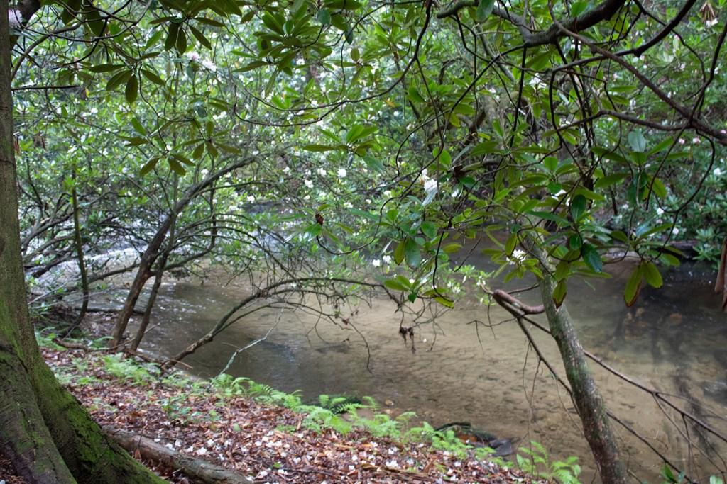 1990 Big Creek Road Cherry Log, GA 30522 - Photo 42 of 48