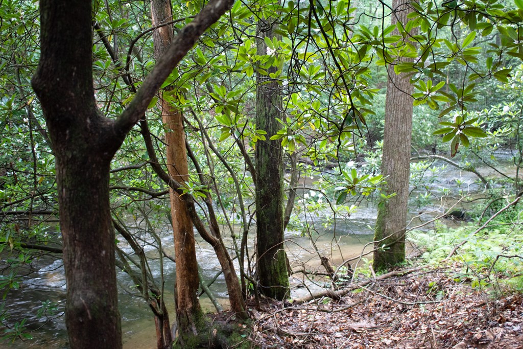 1990 Big Creek Road Cherry Log, GA 30522 - Photo 43 of 48