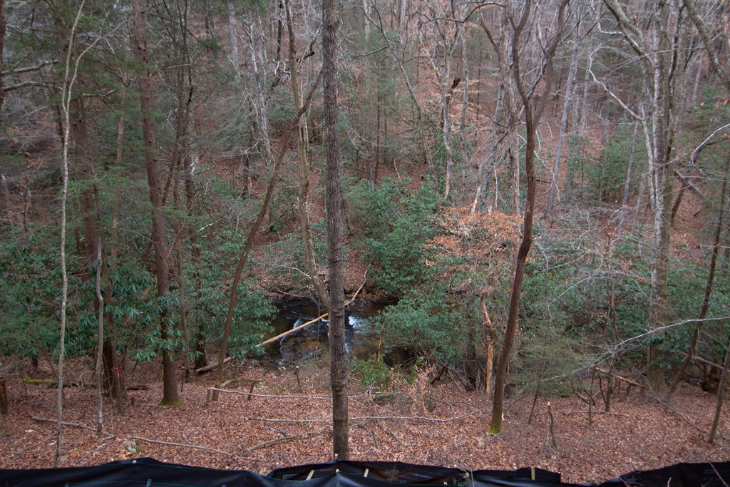 1990 Big Creek Road Cherry Log, GA 30522 - Photo 48 of 48