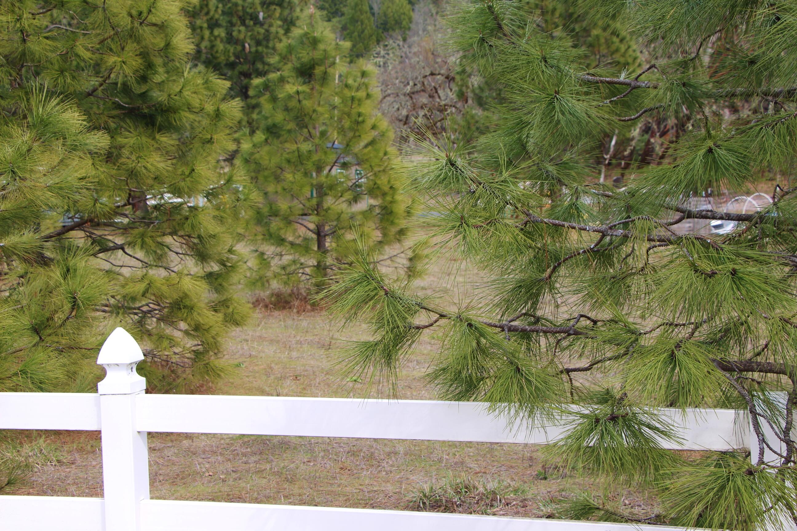 1789 Laurel Road Cave Junction, OR 97523 - Photo 14 of 14 14