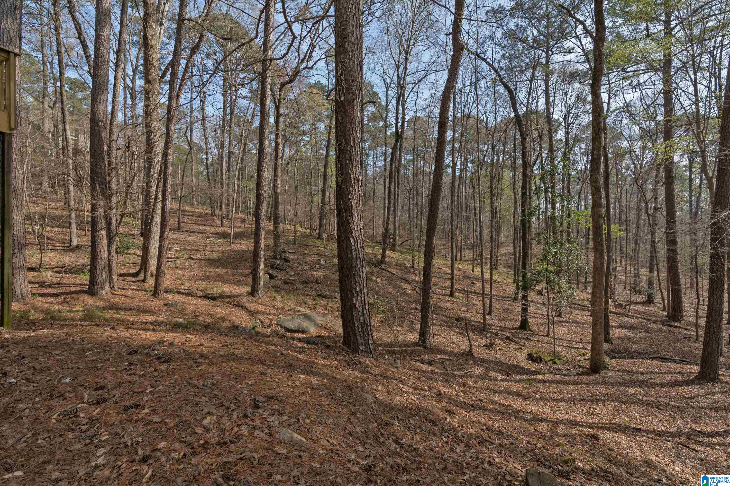 4825 Bridgewater Road Birmingham, AL 35243 - Photo 46 of 49