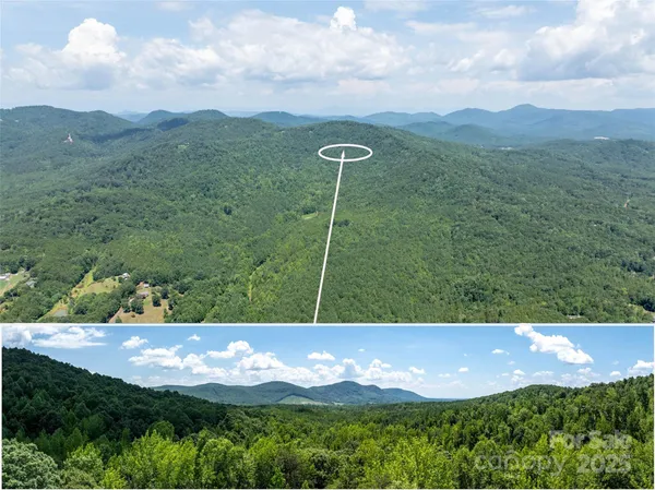 a view of a lush green hillside and a houses