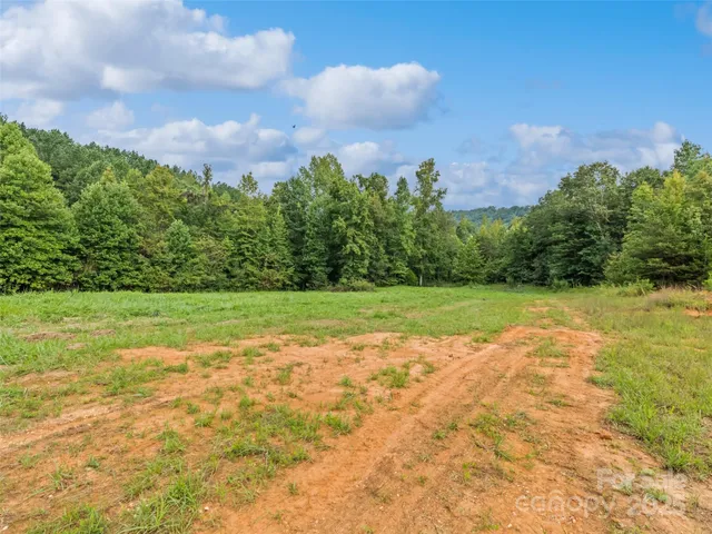 a view of a yard with an tree