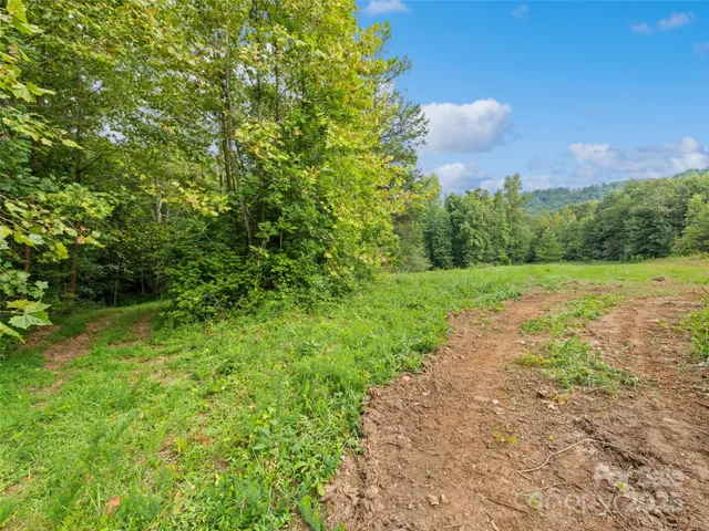 a view of a yard with a tree