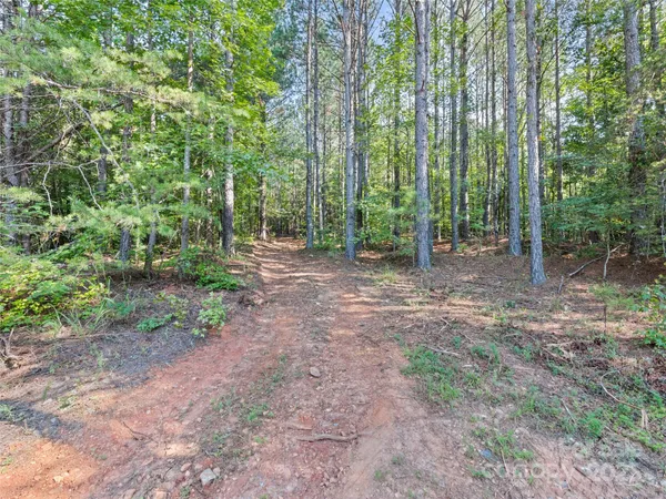 a view of outdoor space with trees