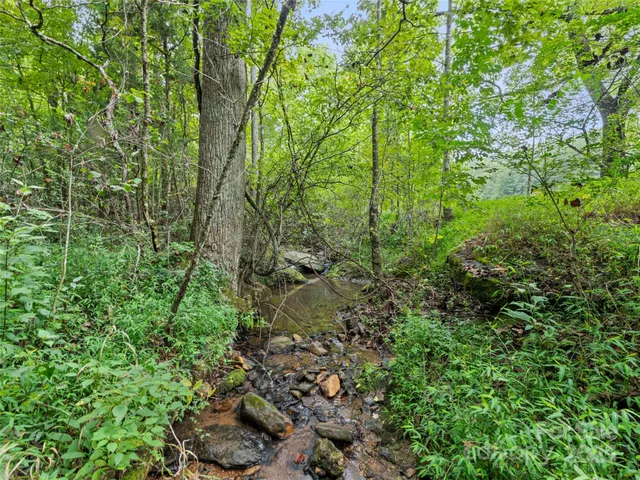 a big yard with lots of green space and deers