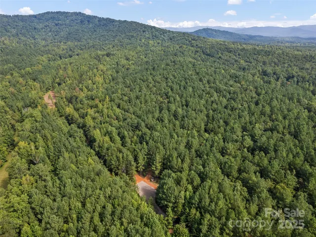 a view of a house with a yard and large trees