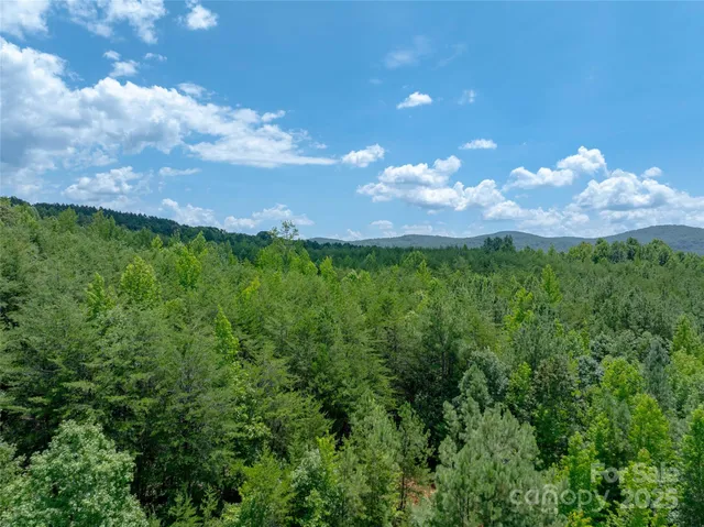 a view of a big yard with lots of green space and mountain view