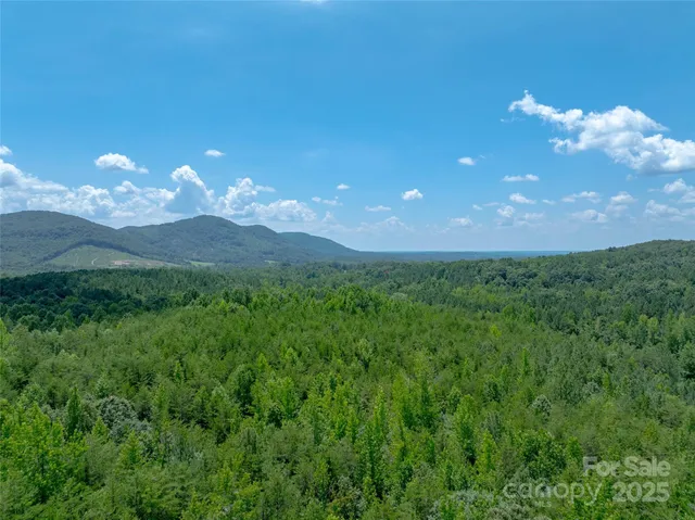 $2,150,000 | 0 Bostic Sunshine Highway, Bostic, NC 28018