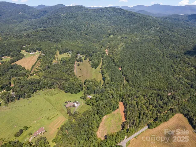 a view of a lush green hillside and houses