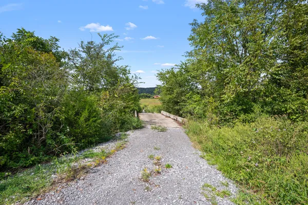 a view of a pathway both side of yard