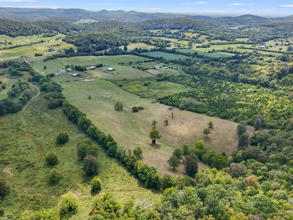 an aerial view of greenery