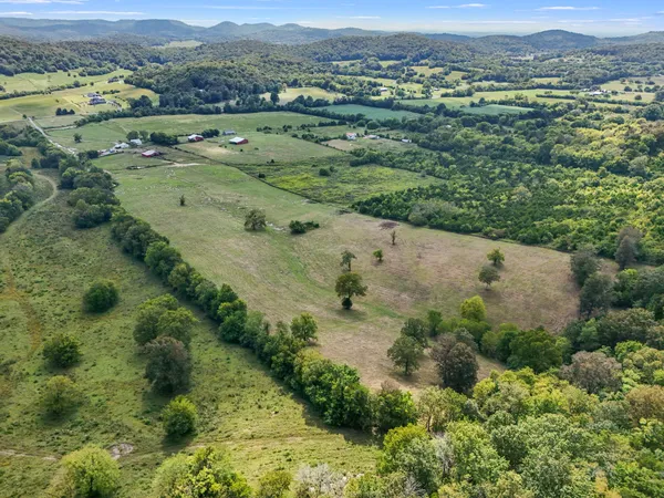 an aerial view of greenery