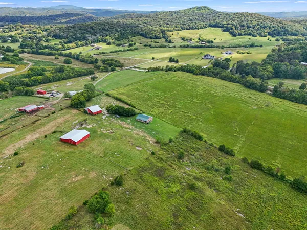 a view of a lush green hillside and houses