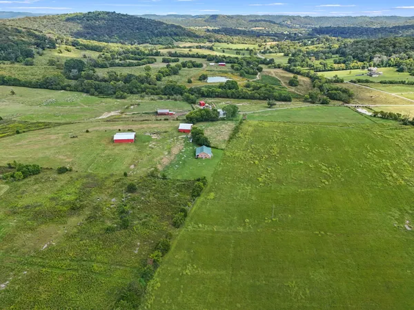 a view of a lush green field