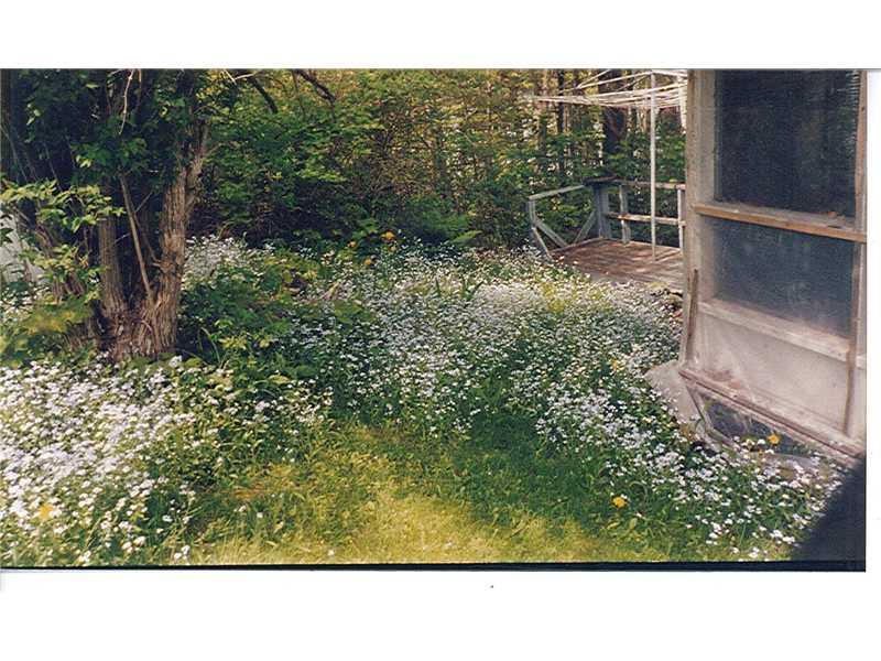 16 Ferry Road Orrington, ME 04474 - Photo 9 of 31 Yard/Garden.