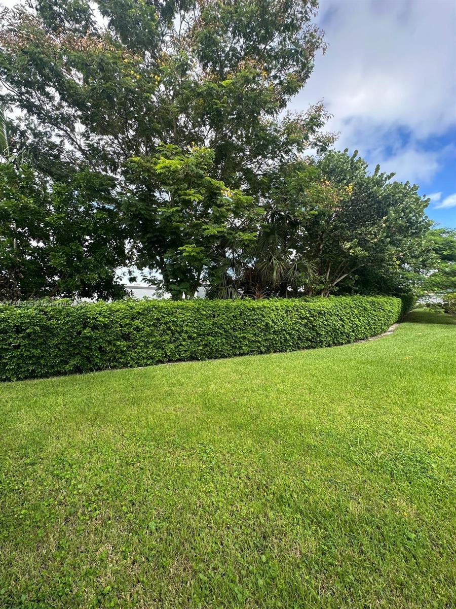 9848 Marina Boulevard, Unit 811 Boca Raton, FL 33428 - Photo 33 of 87 a view of a garden with a tree