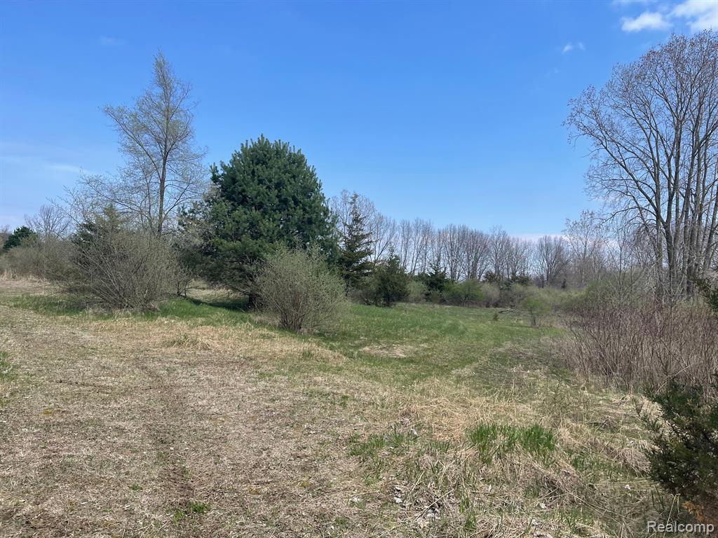 0 White Lake Road Flint, MI 48505 - Photo 2 of 12