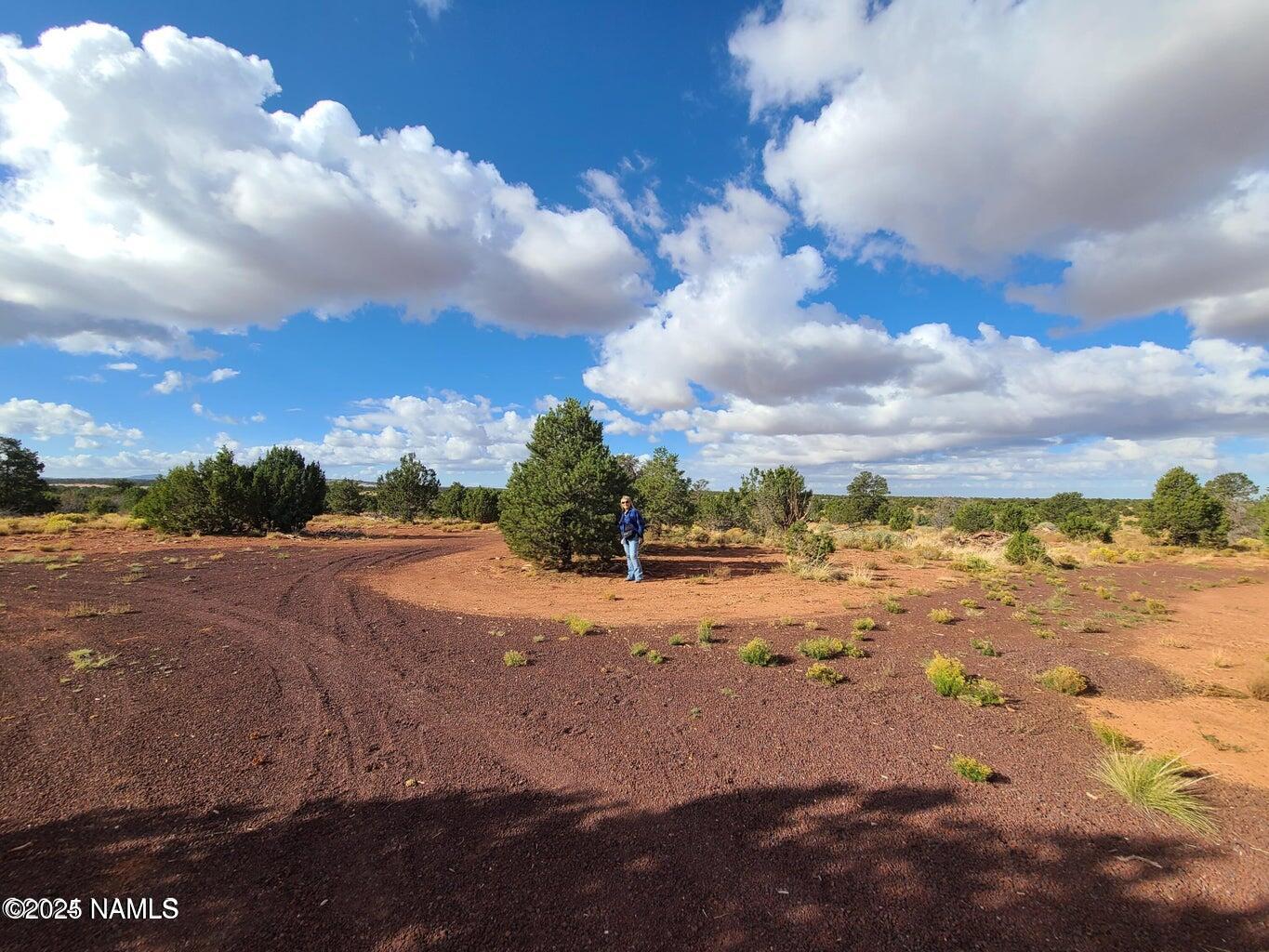 4342 Lasso Loop Williams, AZ 86046 - Photo 21 of 25 a view of a beach with a yard