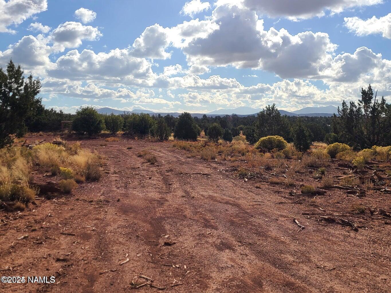 4342 Lasso Loop Williams, AZ 86046 - Photo 22 of 25 a view of a dry yard with lots of trees