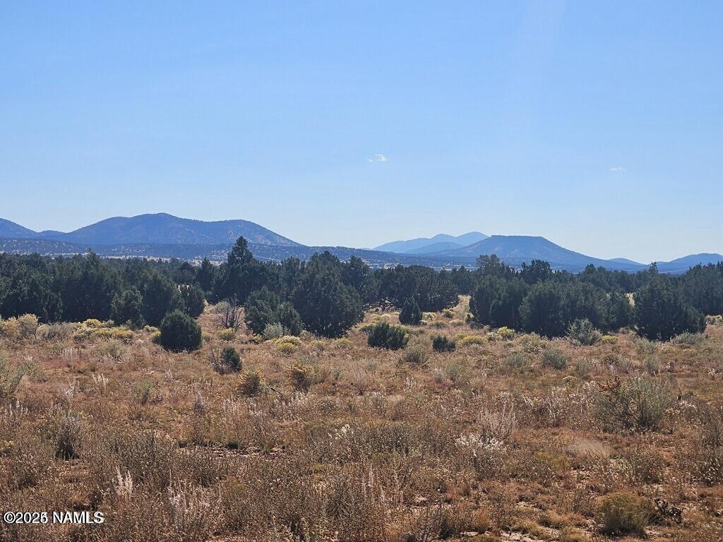 4342 Lasso Loop Williams, AZ 86046 - Photo 3 of 25 a view of a dry field with mountains in the background