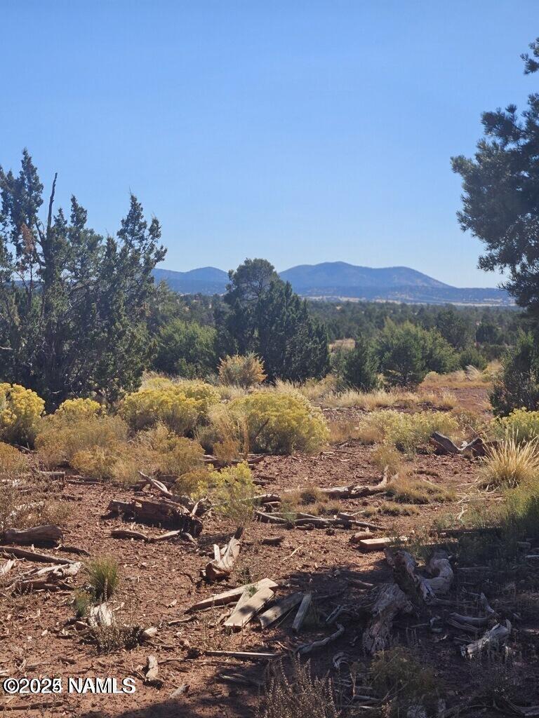4342 Lasso Loop Williams, AZ 86046 - Photo 5 of 25 a view of lake with mountain