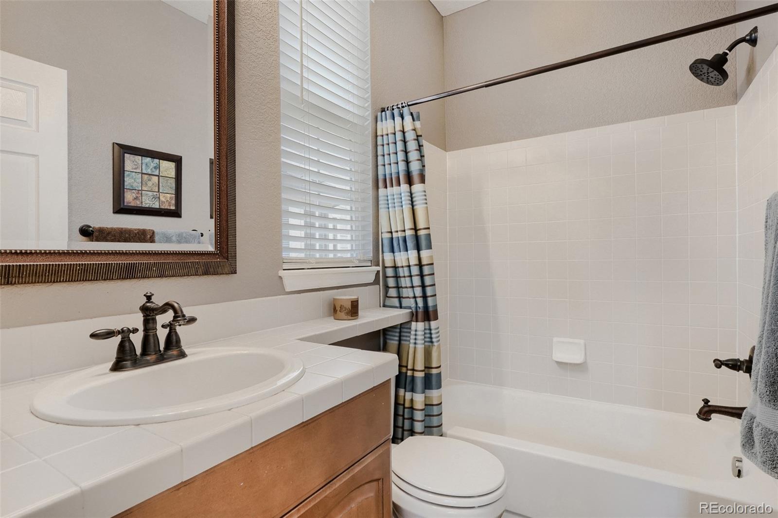 10616 Briarglen Circle Highlands Ranch, CO 80130 - Photo 18 of 50