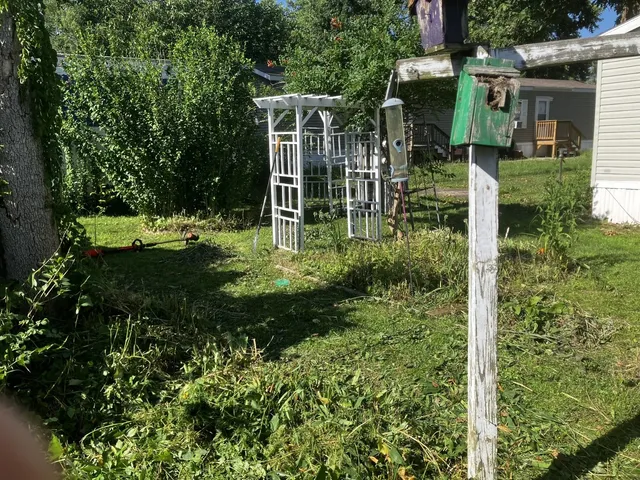 a backyard of a house with lots of green space