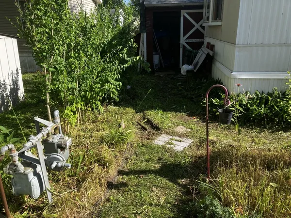 a view of a flower garden