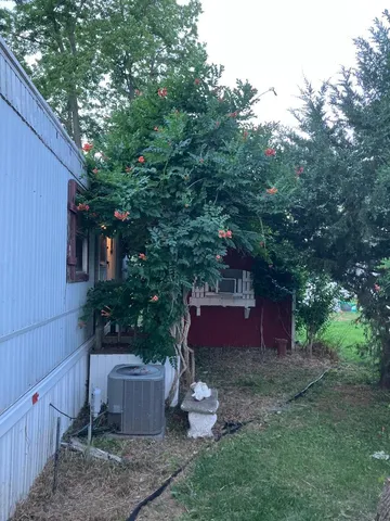 a green field with lots of trees