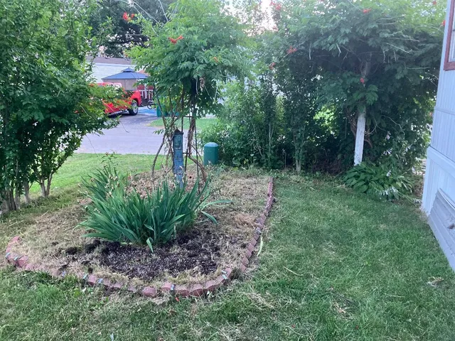 a view of a garden with lawn chairs and a fire pit