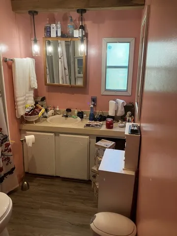 a bathroom with a sink toilet vanity and mirror