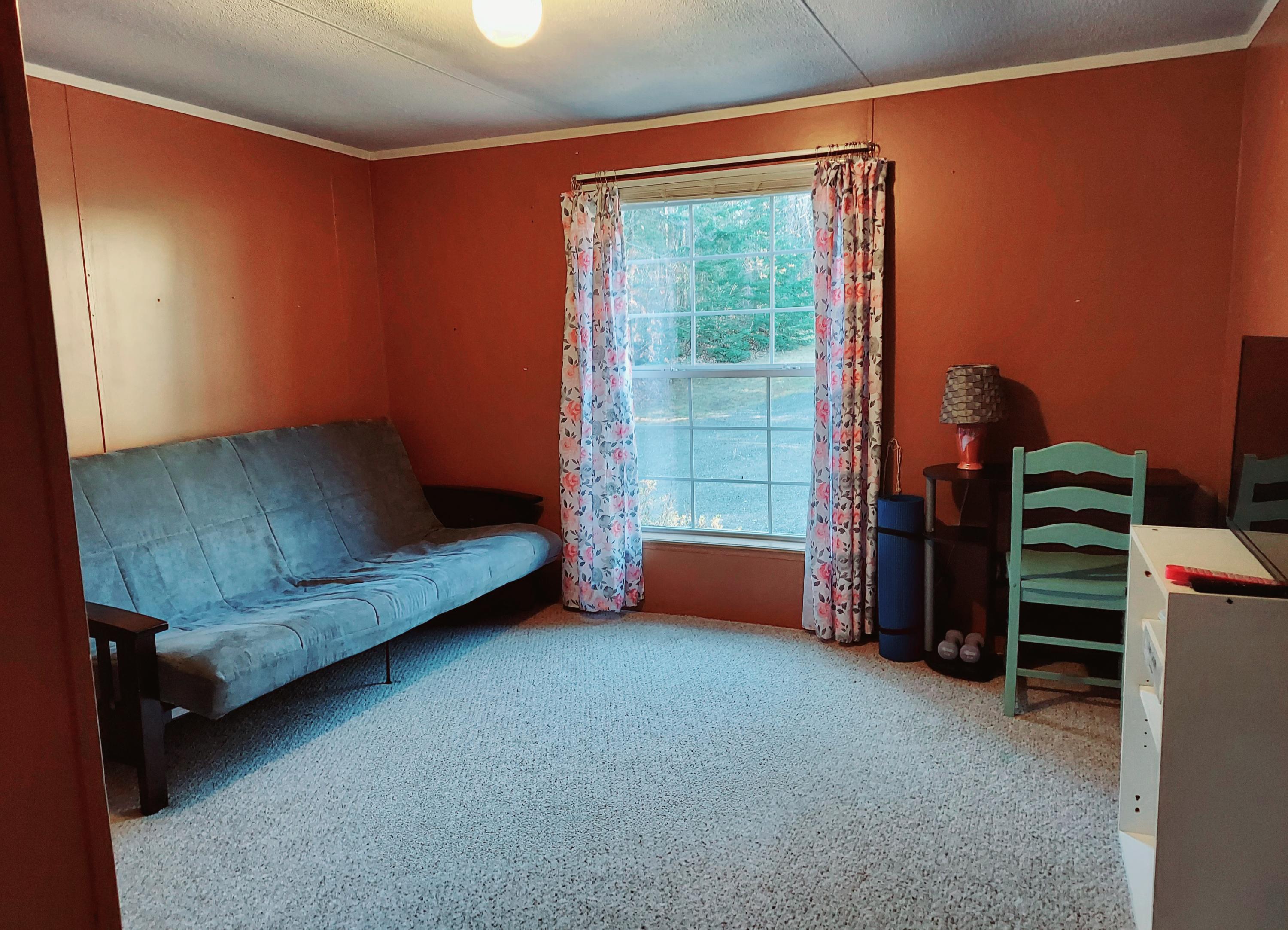 242 Plummer Mill Road Durham, ME 04222 - Photo 23 of 47 20201109_045924