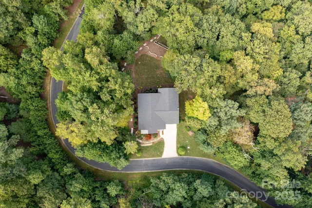 a view of a yard in a garden