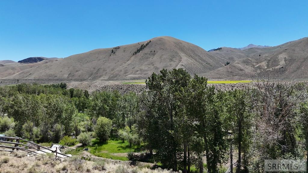 Tbd East Tbd E Fork Road Clayton, ID 83227 - Photo 23 of 28