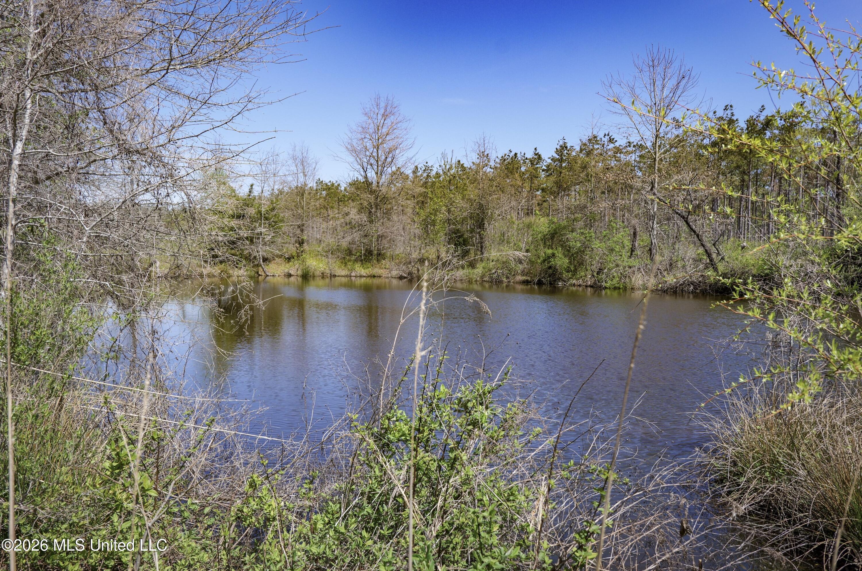 Wise Bend Road Thaxton, MS 38871 - Photo 10 of 22 3