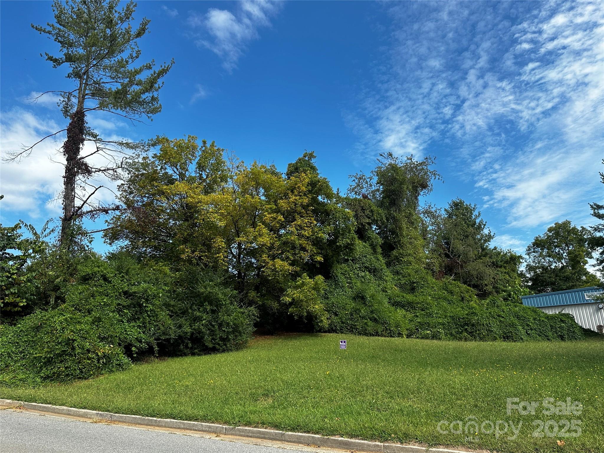 144 Shiloh Road Asheville, NC 28803 - Photo 3 of 19 Gallery Image 3