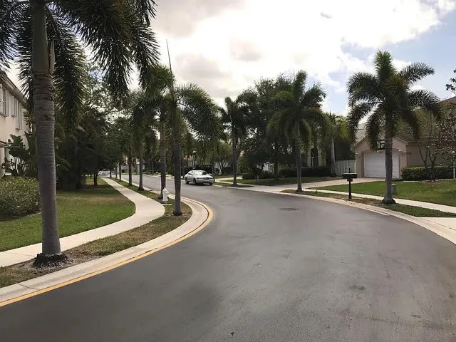 a view of a park with palm trees