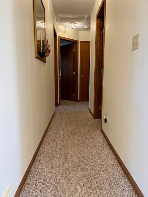 18680 Elk Loop Long Prairie, MN 56347 - Photo 11 of 30