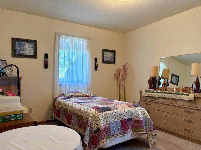 18680 Elk Loop Long Prairie, MN 56347 - Photo 15 of 30