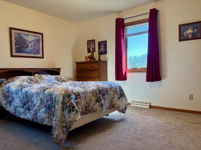 18680 Elk Loop Long Prairie, MN 56347 - Photo 16 of 30