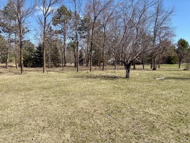 18680 Elk Loop Long Prairie, MN 56347 - Photo 27 of 30